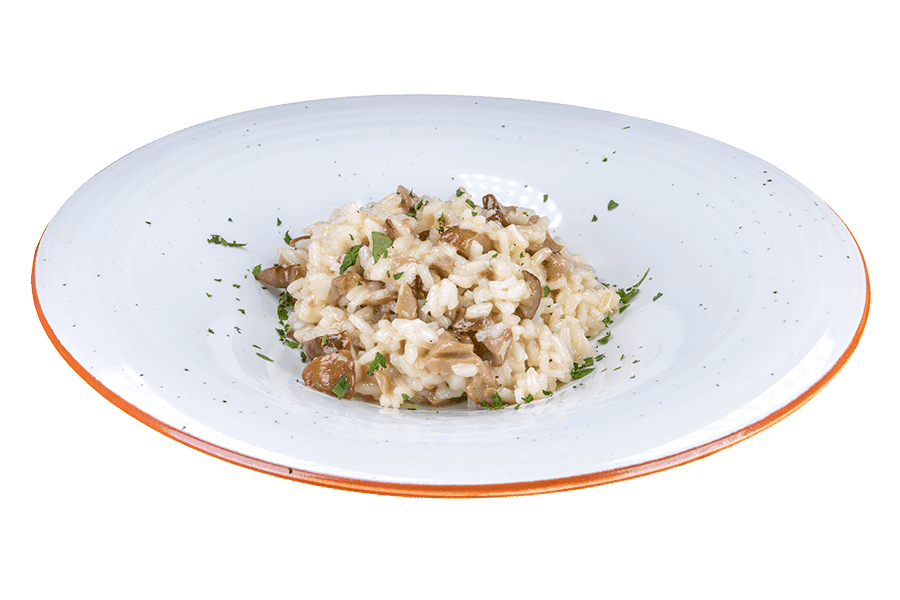 productIllustrationsnewProductImage_2_4_2019_13_20_50